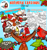 Northern Cardinal clip art