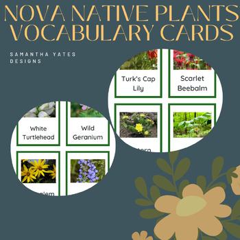 Preview of Northern Virginia Native Plants Vocabulary Cards
