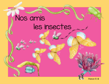 LES INSECTES  Science and nature, French teaching resources