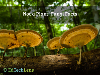 Preview of Not a Plant! Fungi Facts Distance Learning PPT