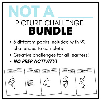 Preview of Not a ______ BUNDLE