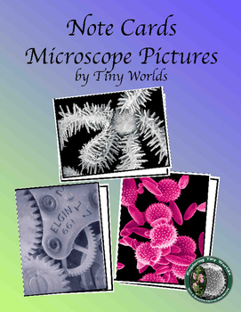 Preview of Note Cards with Images from a Scanning Electron Microscope