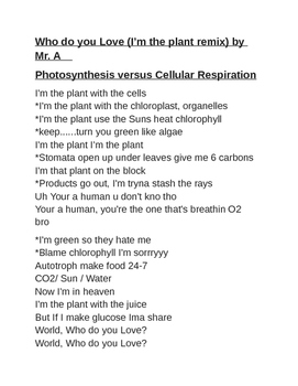 Preview of Note-taking Guide to Photosynthesis and Cellular Respiration Rap Song