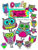 Notebook Doodle Owls for Personal or Commercial Use