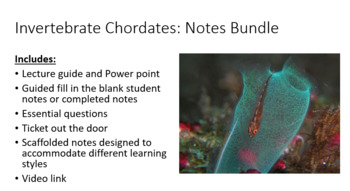 Preview of Notes Bundle: Invertebrate Chordates