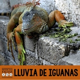 Noticias falsas: Lluvia de iguanas