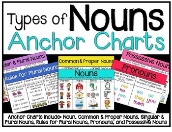 Noun Anchor Charts by Best Friends in First | TPT