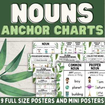 Noun Anchor Charts Singular, Plural, Possessive, Collective, Concrete ...