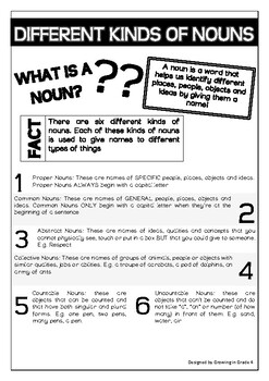 Preview of Noun Info Sheet