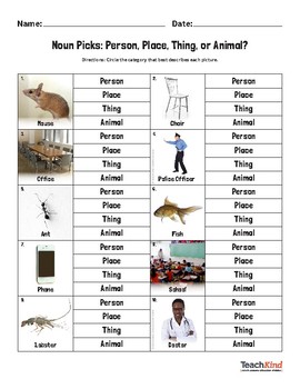 Noun Picks: Person, Place, Thing or Animal by TeachKind Humane Education