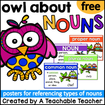 Preview of Types of Nouns Posters
