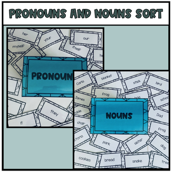 Preview of Noun Sort-Pronouns and Common Nouns