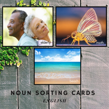 Preview of Noun Sorting Cards in English