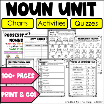 Preview of Noun Worksheets Common, Proper, Singular, Plural, Possessive, Abstract, Concrete