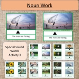 Noun Work Grammar Activities Language CVC Blends and Speci