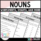 Noun Practice Worksheet Pack | Special Education English Language Arts