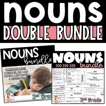 Preview of Nouns Activities and Interactive Notebook DOUBLE Bundle