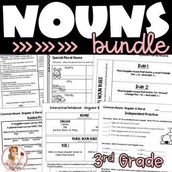 Preview of Nouns Interactive Notebook Bundle for 3rd Grade