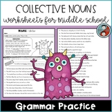 Collective Nouns Worksheet | Teachers Pay Teachers