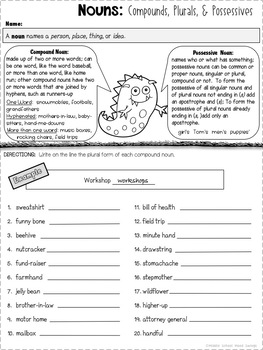 nouns compounds plurals possessives worksheets tpt