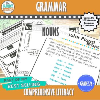Preview of Nouns | Grade 5 and 6 | New Ontario Language Curriculum 2023