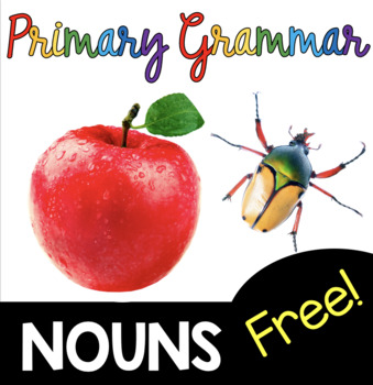 Preview of Nouns Grammar Unit for first grade and primary students - Pronouns Proper Nouns
