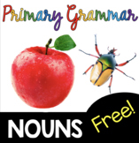 Nouns Grammar Unit for first grade and primary students - 