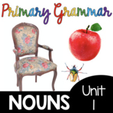 Nouns - Grammar Unit for kindergarten first and second gra