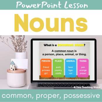 Preview of Nouns Interactive PowerPoint Lesson (common, proper, possessive)