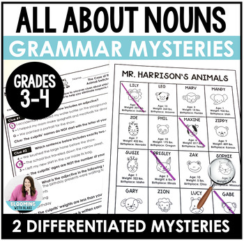 Preview of Nouns Practice Activities - Grammar Parts of Speech Mysteries - 3rd, 4th Grades