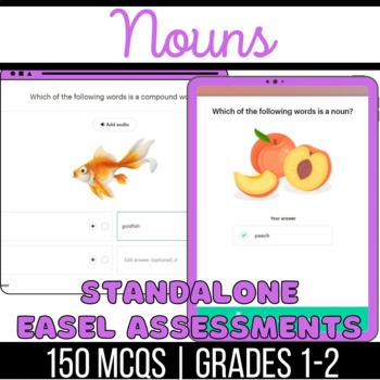 Preview of Nouns Practice Standalone Easel Assessments: Common, Proper, Irregulars