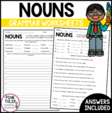 Understanding Nouns Worksheets - No Prep Printables