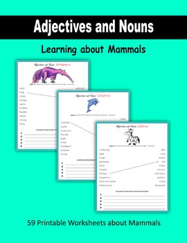 Preview of Nouns and Adjectives - Learning about Mammals