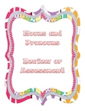 Nouns and Pronouns Review or Assessment