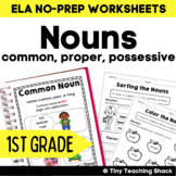 Nouns (common, proper, possessive) Common Core Practice Sh