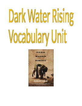 Preview of Novel- Dark Water Rising Vocabulary Unit