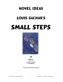 Small Steps : Sachar,Louis: : Books