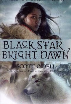 Preview of Novel Study: Black Star, Bright Dawn by Scott O'Dell