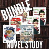 Novel Study - Harry Potter BOOKS 1-3 -- Bundle