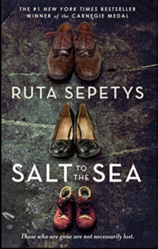 Preview of Salt to the Sea by Ruta Sepetys Novel Study - Updated February 2022