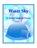 Water Sky (by Jean Craighead George) Study Guide