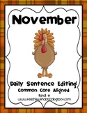 November Daily Sentence Editing