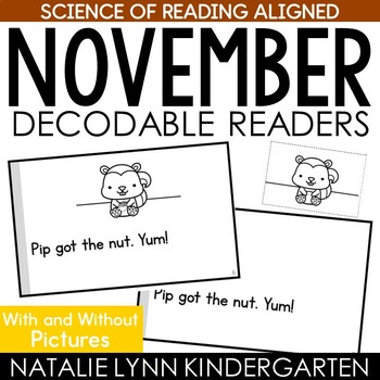 Preview of November Decodable Readers Fall and Thanksgiving Books