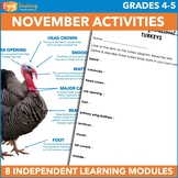 November Independent Work Packet - Thanksgiving Fast Finis