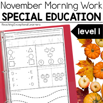 Preview of November Morning Work Special Education