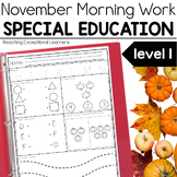 November Morning Work Special Education