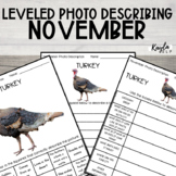 November No Prep Leveled Photo Describing Worksheets