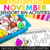 November Sensory Bin Centers for Kindergarten