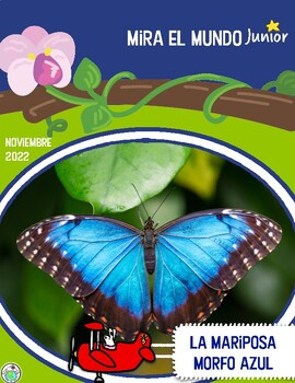 Preview of Noviembre 2022 La mariposa morfo azul Blue Morpho Butterfly Mira el Mundo Jr