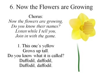 Preview of Now The Flowers Are Growing
